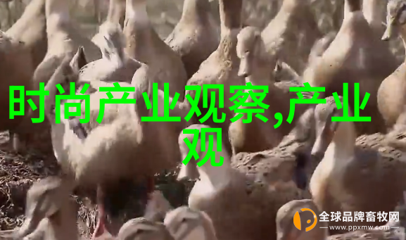 一个人看的视频www高清动漫-独享时光探索一个人看的高清动漫视频世界