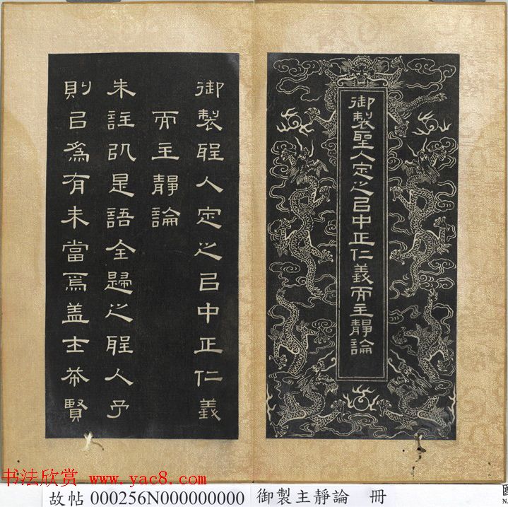 时尚界的新宠女士流行发型的演变与魅力