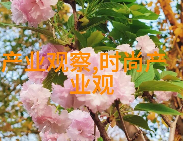 我不是妖怪揭秘那些被误解的奇异存在