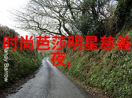 向日葵视频app下载网站进入站长统计我是如何一窥其背后的数据世界的