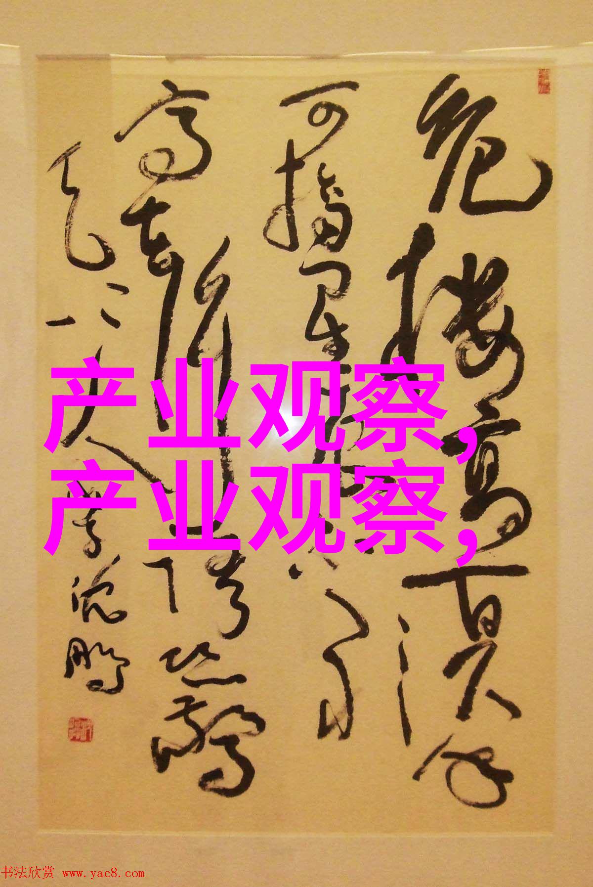 霍利斯特剑之舞者与信仰的追寻