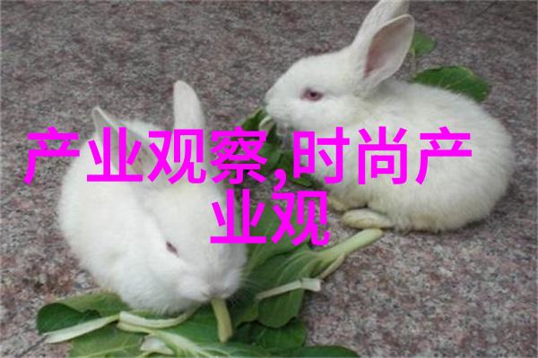 男人大鸟探索力量与自由的象征