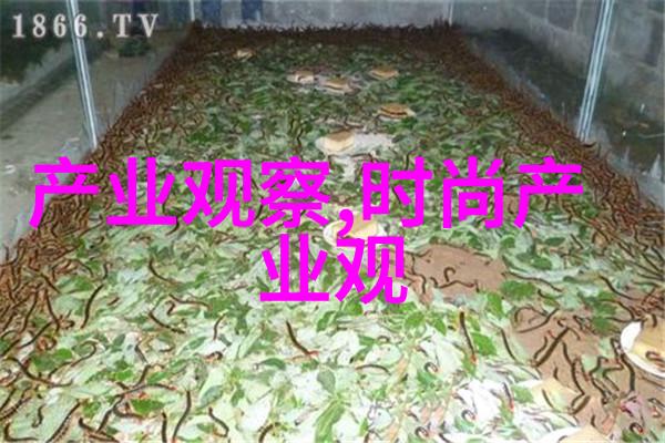 徐霞客漫步探秘江南古道与奇观