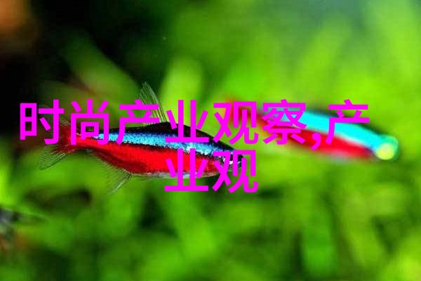 美容美发教程视频 - 秀发造型技巧与面部彩妆指南
