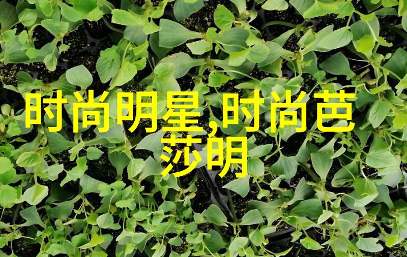 2022年国家公务员考试报名正式启动为梦想而战的新篇章