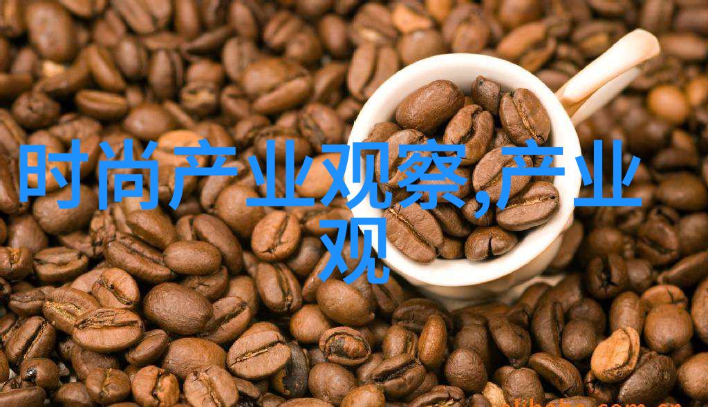东方之光与圣地之梦未解之谜