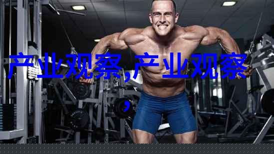 碧血洗银枪txt我是如何在虚拟世界中成为一名无畏的剑客的