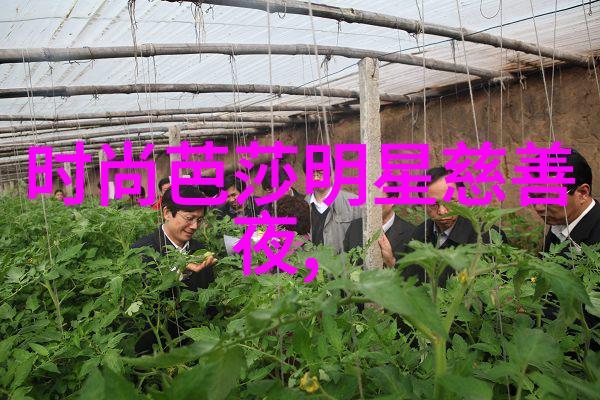 秋日男士时尚指南温暖色彩下的优雅穿搭