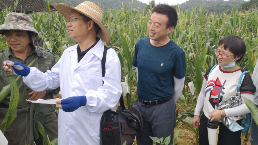 缅北原始雨林探险深入缅北原始雨林的奇妙冒险