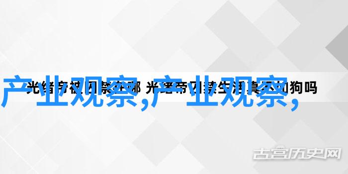 公交车缓慢而有力的C-城市的脉动一辆公交车缓慢而有力的故事