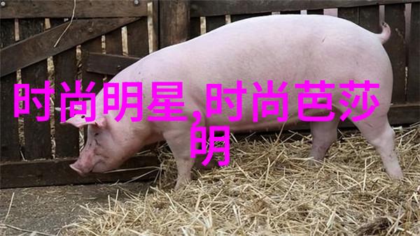 爆乳女教师高分辨率视觉盛宴