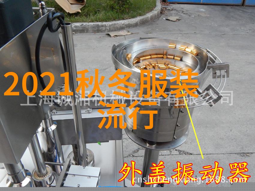 为什么越往里越有劲视频-深度探究揭秘越往里越有劲内容创作背后的心理学与视觉艺术