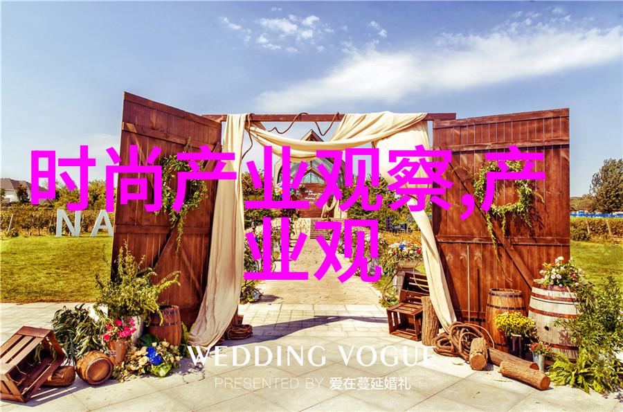 美发技艺精髓掌握各种发型设计与烫染技巧