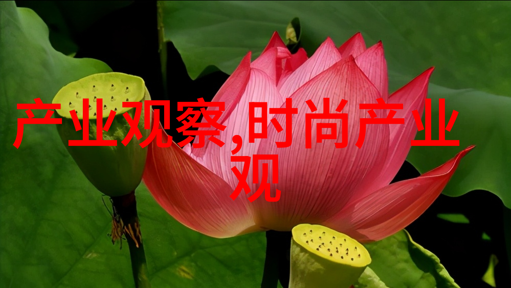 服饰搭配达人街头秀 长马甲时尚风潮