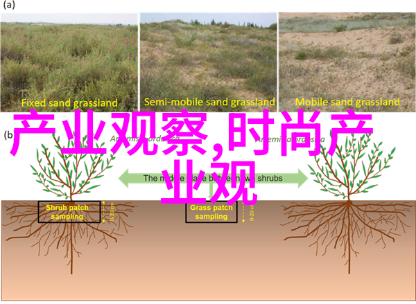 数字的节奏时空交响曲