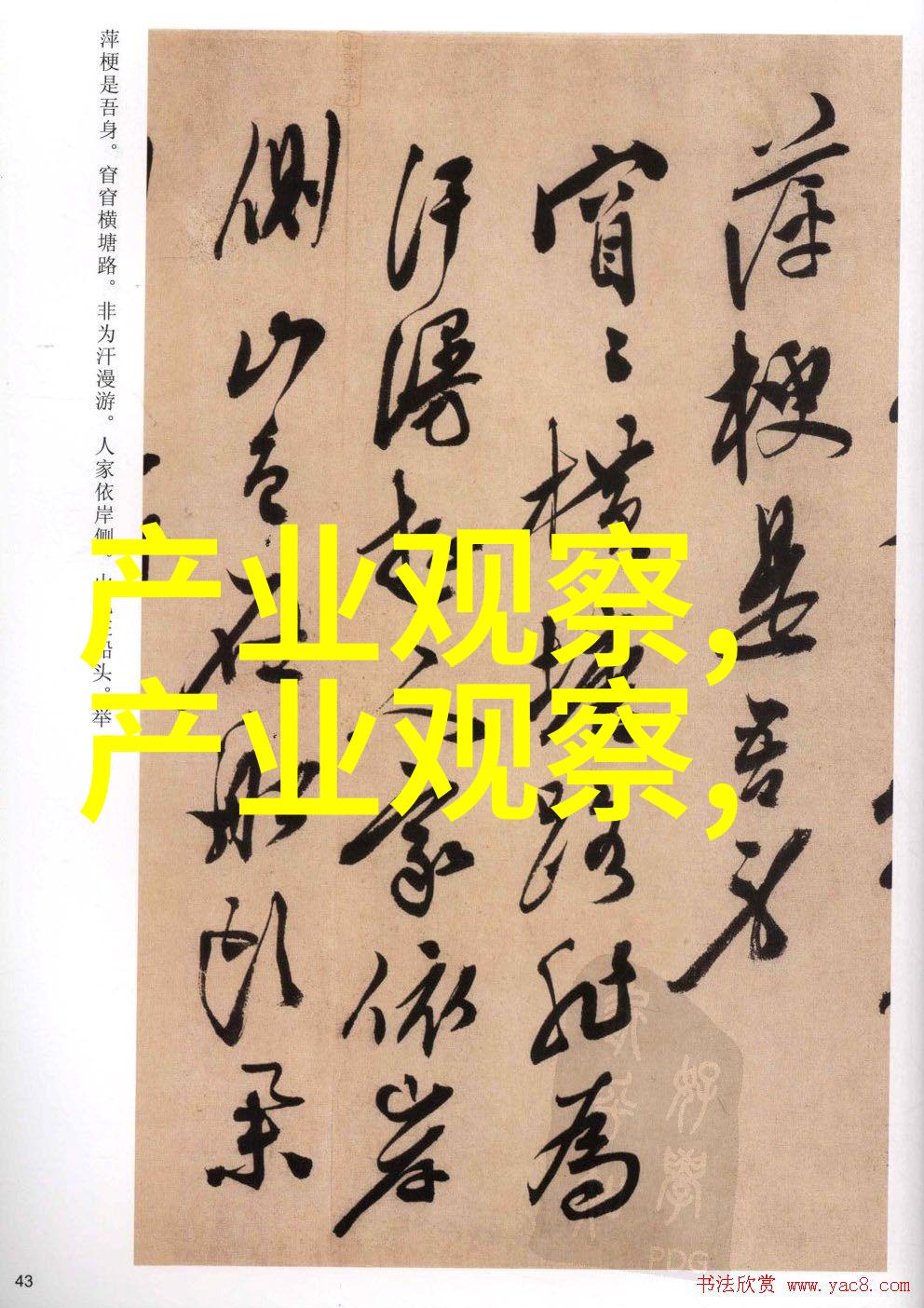 深入探秘为什么越往里越有劲的视频背后故事