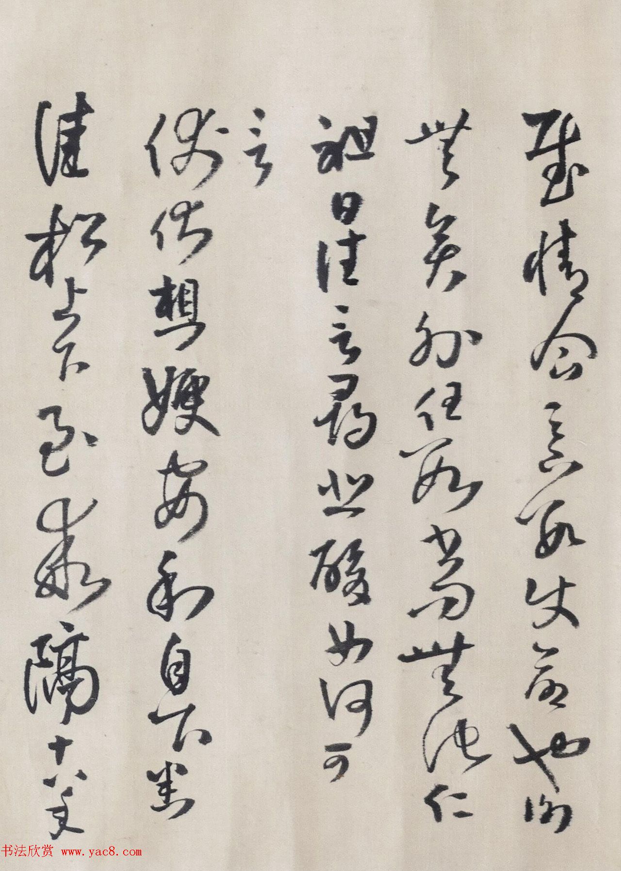唐朝的皇宫里风起云涌的政治斗争与爱恨情仇交织在一起一个身为后宫女子的小心翼翼却不经意间卷入了权力的漩