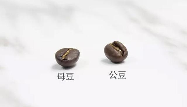 好看洋气减龄短发秘诀解析
