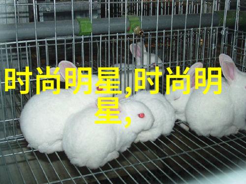 宇宙守望者赛力斯的无尽旅程