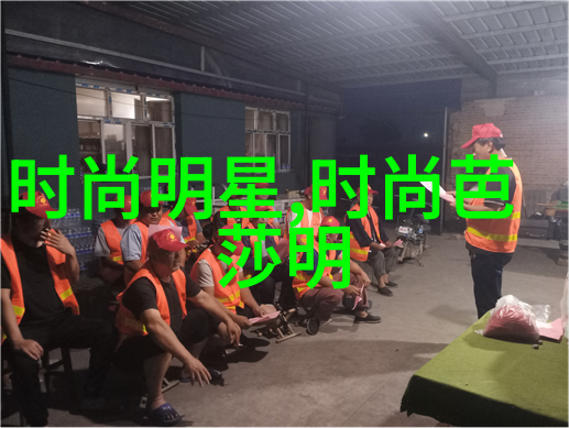 从军医到国际象征霍利斯的人生轨迹