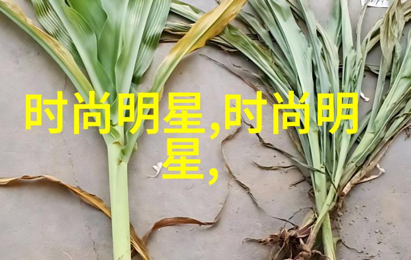 台湾电影荣耀的巅峰48届金马奖盛事绘幕开启