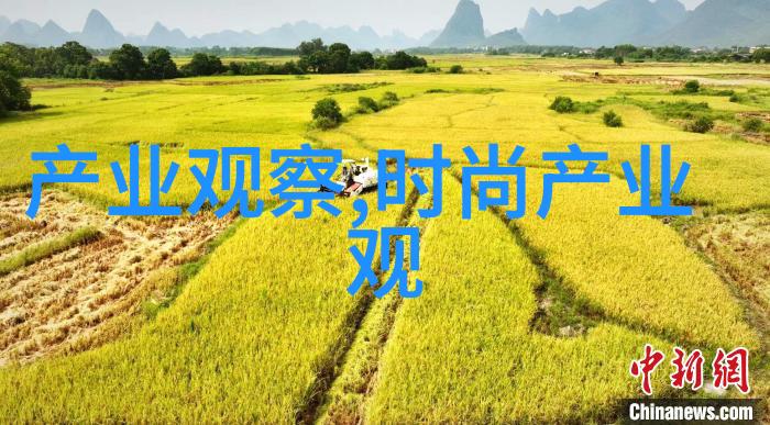 张云龙江湖中的孤狼与英雄