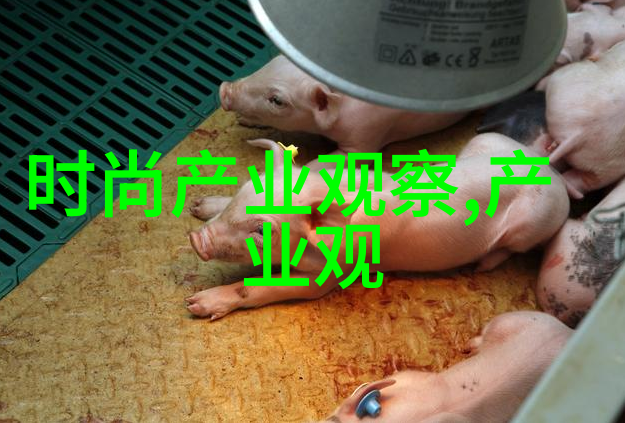 夏日清爽短发女生时尚发型指南