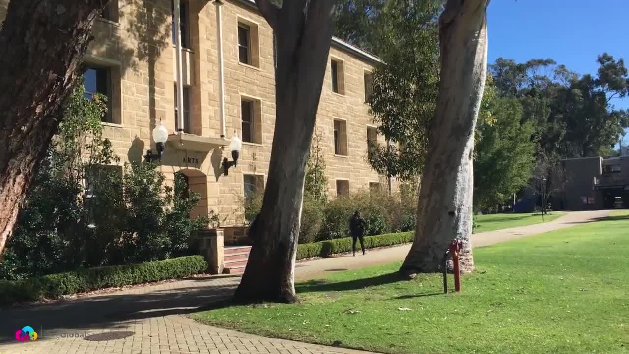 玉米地之痒消除公愆憩止的应用指南
