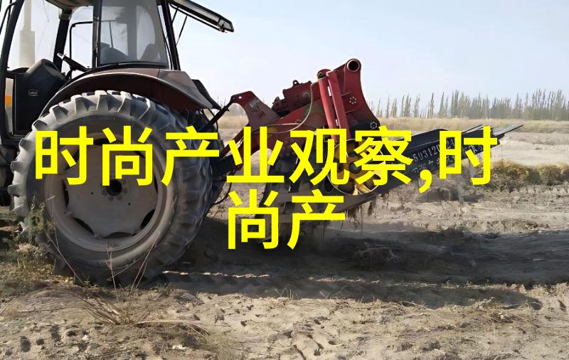 流离失所的影子