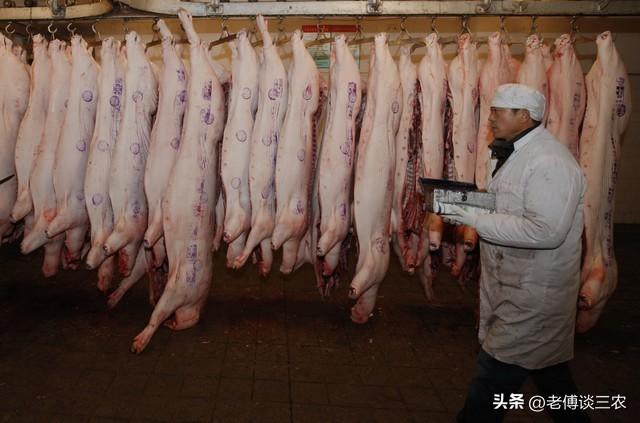 家里就有它省钱又方便的自制头发理器使用方法