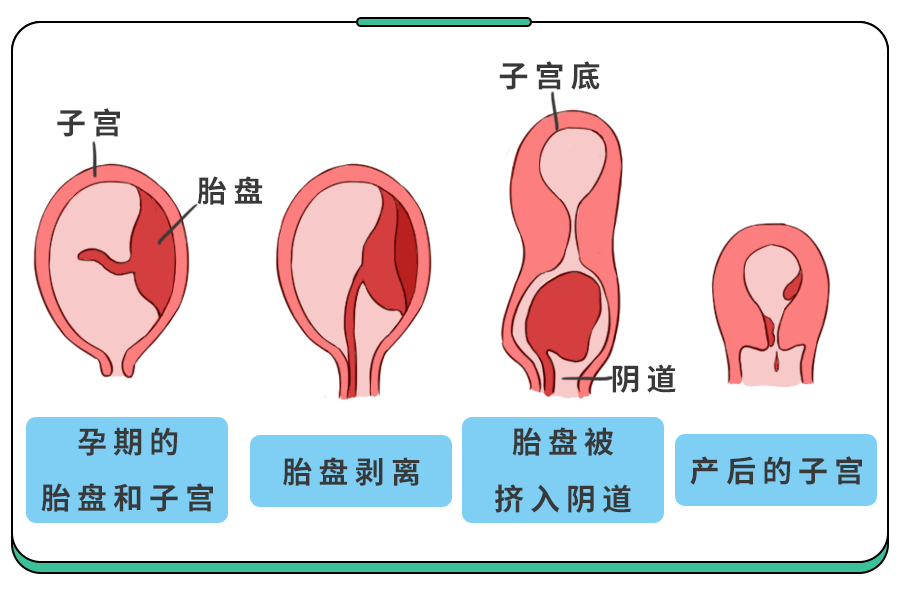 哥斯拉新电影官宣了哥斯拉-10由山崎贵执导这是巨人日本语轮中第11部作品难道这将是史上最震撼的巨影对