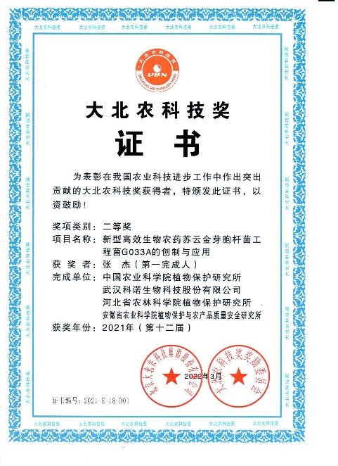 女孩们的时尚之选最新短发图片展示