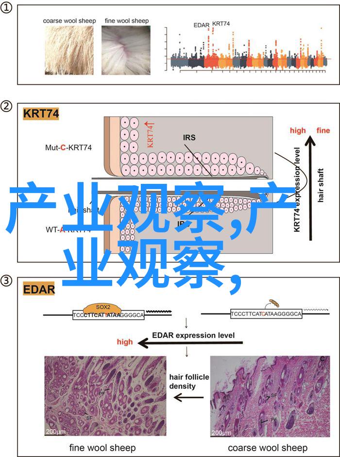 未来之光2199与人工智能的共生时代