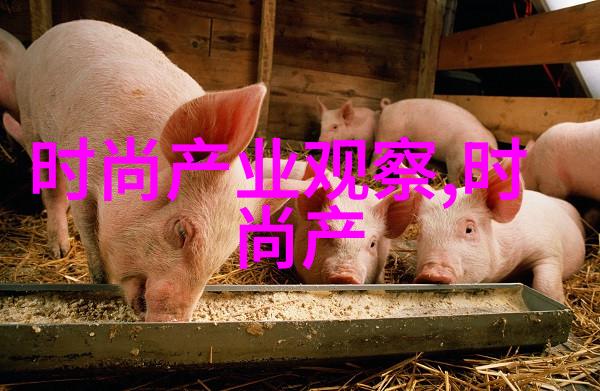 片段的回声探索3节片背后的故事与文化意义