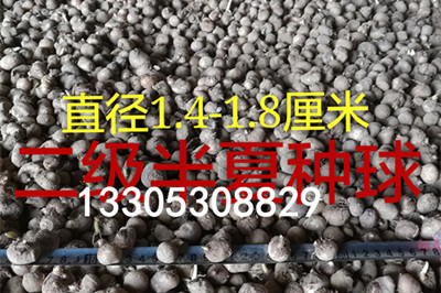 剪发速成掌握技巧轻松变身理发高手