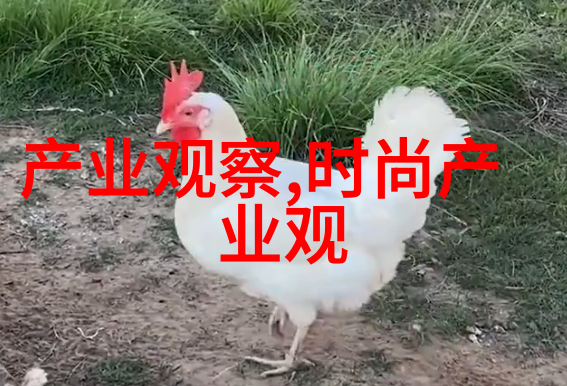 正装皮鞋的保养与维护有什么专业方法吗