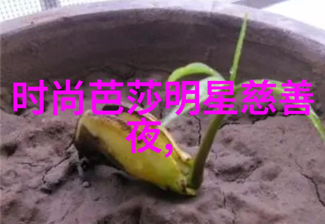 4050岁女性短发圆脸型美学探索