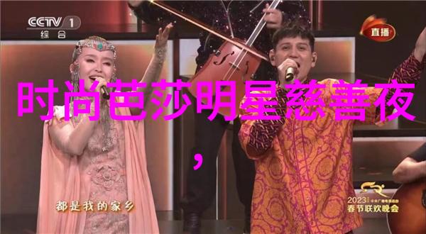 云龙在江湖探索张云龙的人物魅力与文化影响