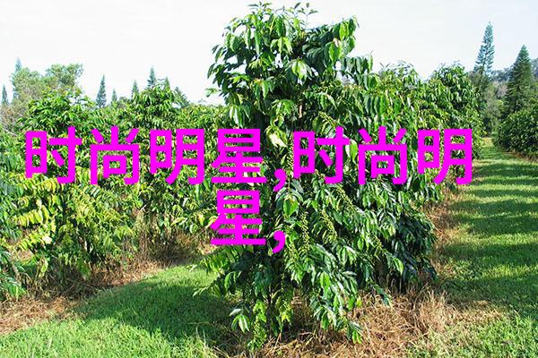 乌龟蹭扇贝的奇妙世界