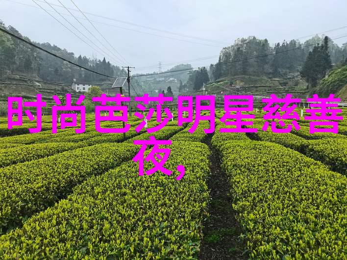 无罪的轮廓揭开法律与正义的迷雾