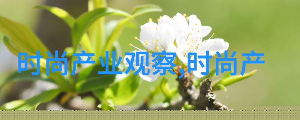 四百美元的启示如何在紧张预算中找到生活乐趣