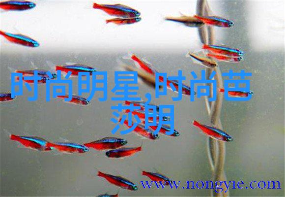 懒人减龄发型女的秘诀打造不需太多功夫就能显瘦的发式