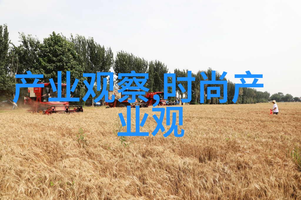 老阿姨的温暖故事回忆与感悟