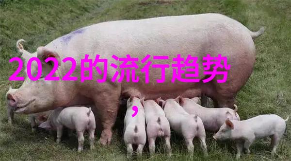 秀发艺术探索高级美发培训的精髓