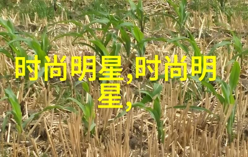 淘宝男装时尚大师如何打造个人风格