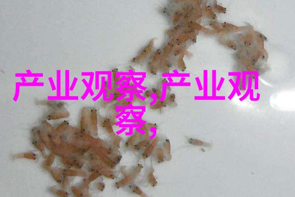 岁岁年年柿子红-丰收的赞歌岁岁年年柿子红的故事与诗意