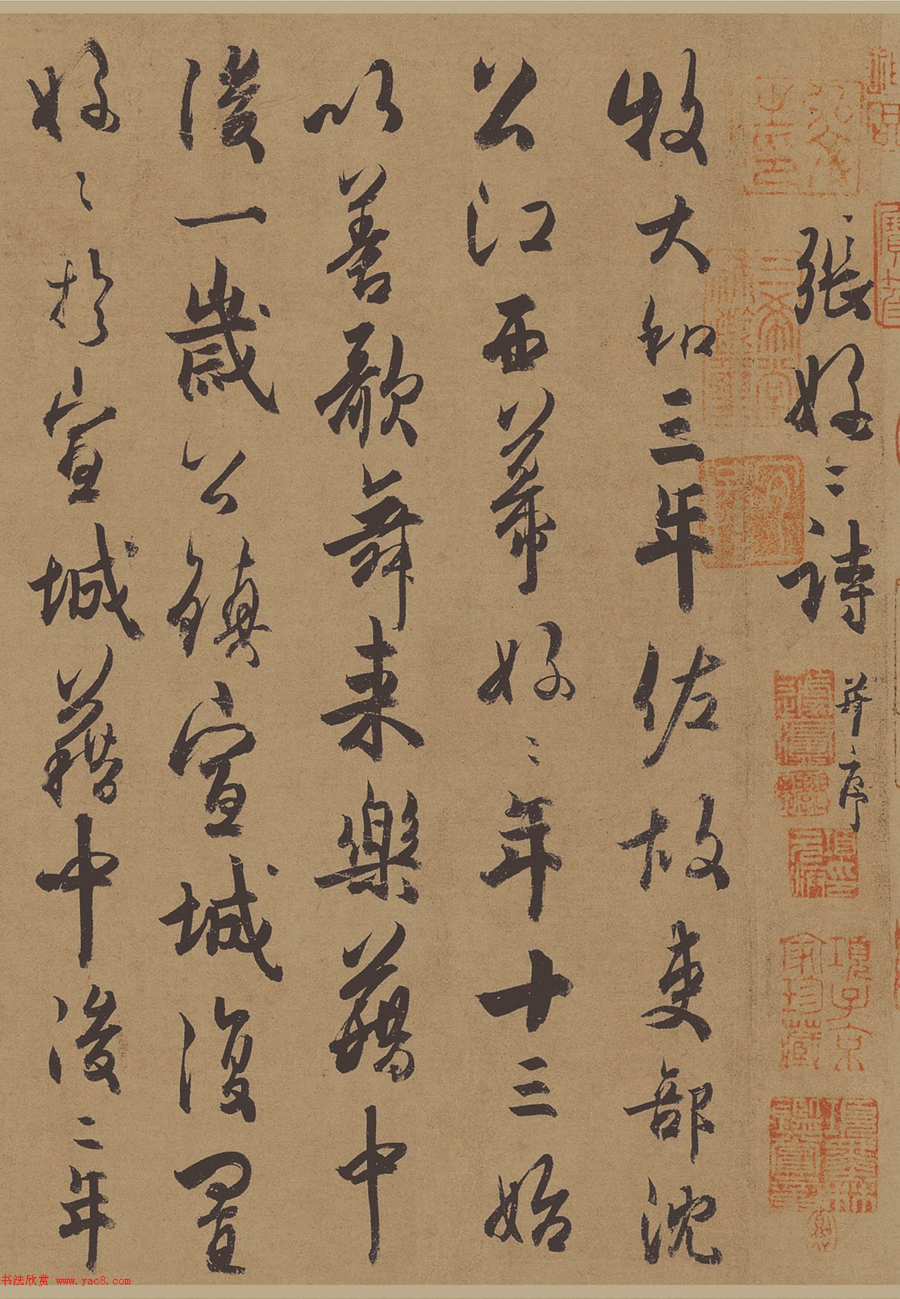 从用户反馈来看人们对于这两个显卡有什么普遍认可的地方吗