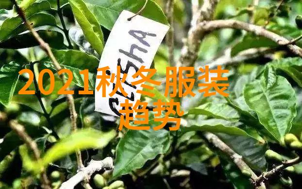 夏日时尚男装轻盈舒适的季节变革