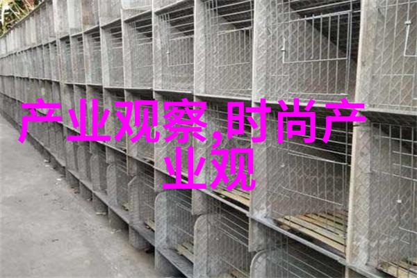 夜晚的探索随性之旅与老师的陪伴