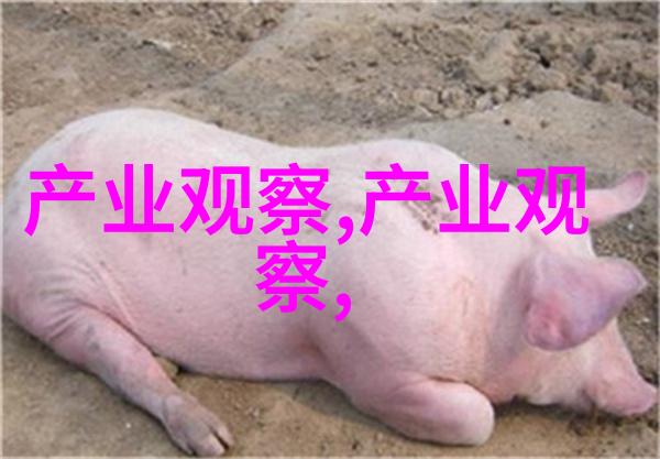 春日女神好看的短碎发女的魅力